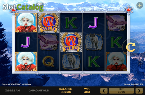 Скрин4. Canadian Wild слот