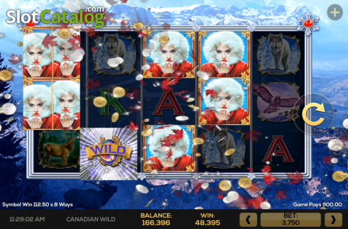 Скрин5. Canadian Wild слот