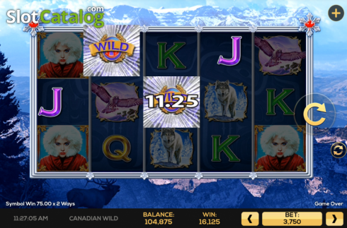 Скрин6. Canadian Wild слот