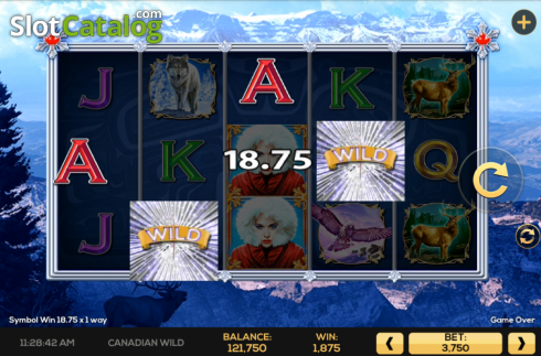 Скрин9. Canadian Wild слот