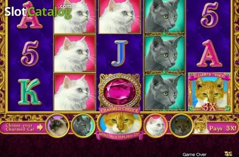 Скрин2. Purrfect слот