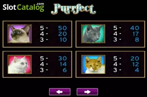 Скрин5. Purrfect слот