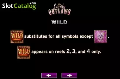 Скрин6. The Lovely Outlaws слот
