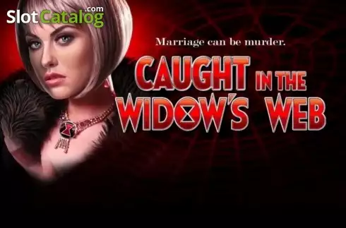 Caught in the Widow's Web слот