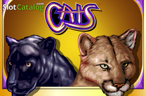 Cats слот