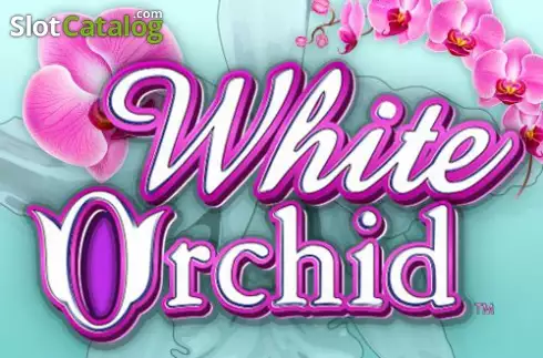White Orchid слот