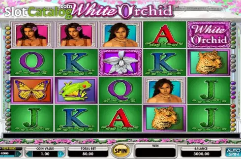 Скрин2. White Orchid слот