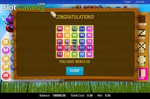 Скрин3. Lil Lady Bingo слот