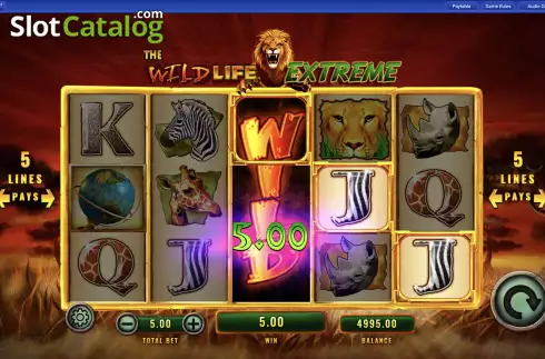 Скрин3. The Wild Life Extreme слот