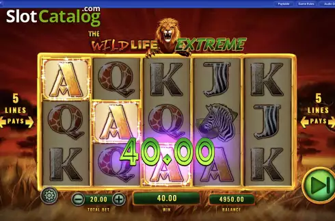 Скрин4. The Wild Life Extreme слот