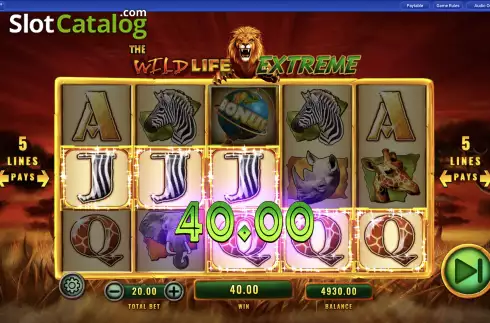 Скрин5. The Wild Life Extreme слот