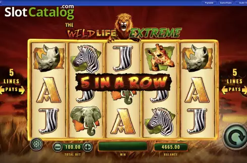 Скрин6. The Wild Life Extreme слот
