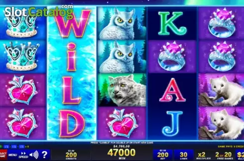 Скрин2. Icy Wilds слот