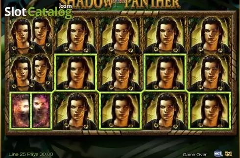 Скрин3. Shadow of the Panther слот