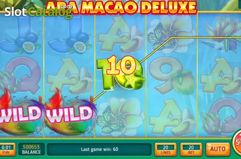 Скрин4. Ara Macao Deluxe слот