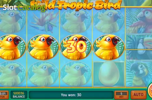 Скрин5. Wild Tropic Bird слот