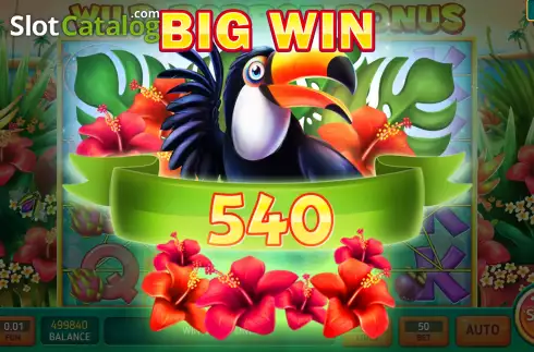Скрин4. Wild Parrot Bonus слот