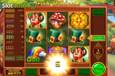 Скрин3. Irish Wildness (Pull Tabs) слот