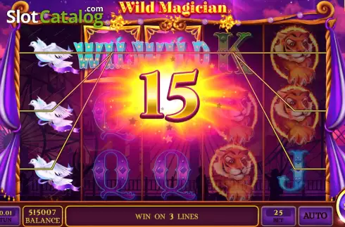 Скрин4. Wild Magician слот