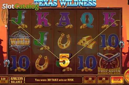 Скрин3. Texas Wildness слот