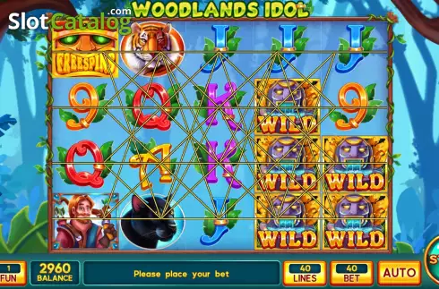 Скрин2. Woodlands idol слот