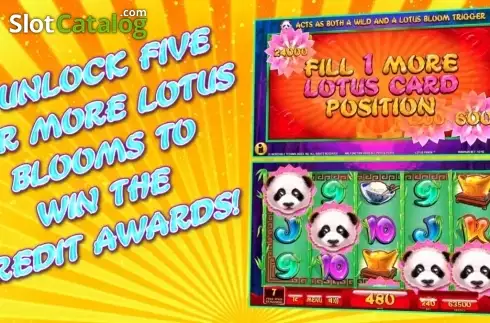 Скрин7. Lotus Panda слот