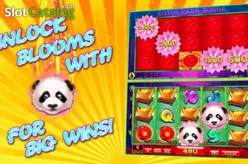 Скрин8. Lotus Panda слот