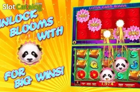 Скрин9. Lotus Panda слот