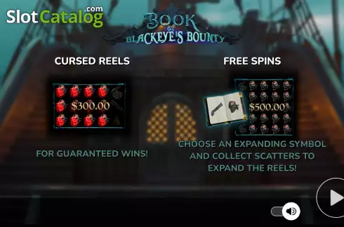 Скрин2. Book of Blackeye’s Bounty слот