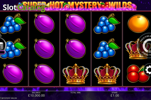Скрин2. Super Hot Mystery Wilds слот