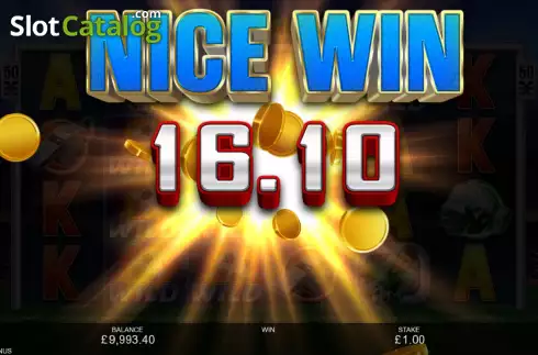 Скрин4. Big Football Bonus слот