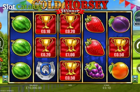 Скрин2. Gold Horsey Winner слот