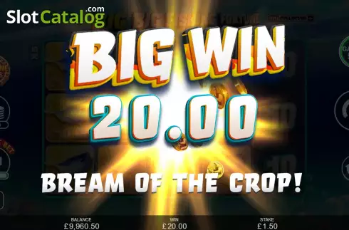 Скрин6. Big Big Fishing Fortune слот