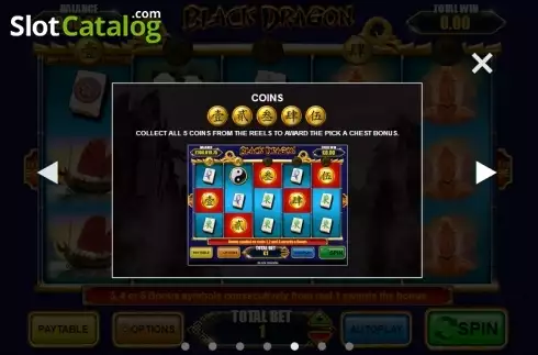 Скрин9. Black Dragon слот