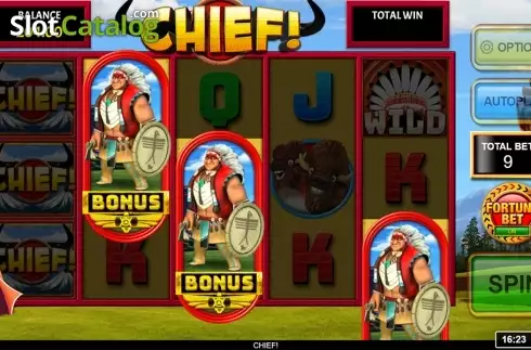 Скрин5. Chief! слот