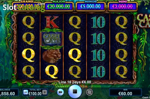 Скрин4. Cash Cats слот