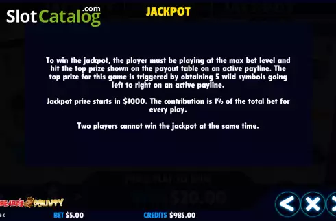 Скрин8. Blackbeard's Bounty (Jackpot Software) слот