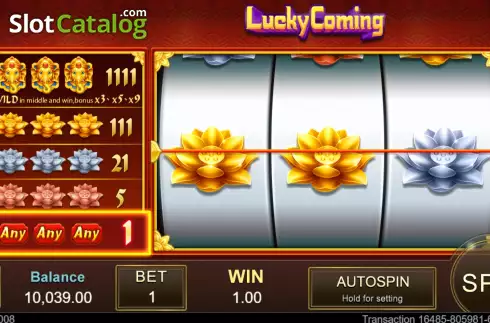 Скрин3. Lucky Coming слот
