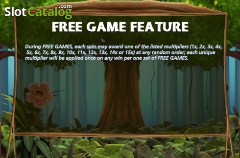 Скрин6. The Primeval Rainforest слот
