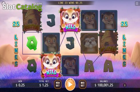 Скрин5. Meerkats Family слот