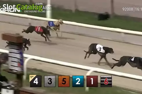 Скрин2. Pre-recorded Dog Racing слот