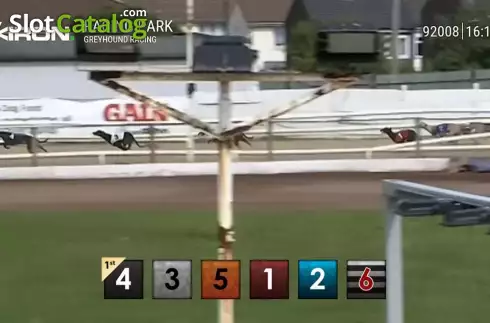 Скрин3. Pre-recorded Dog Racing слот