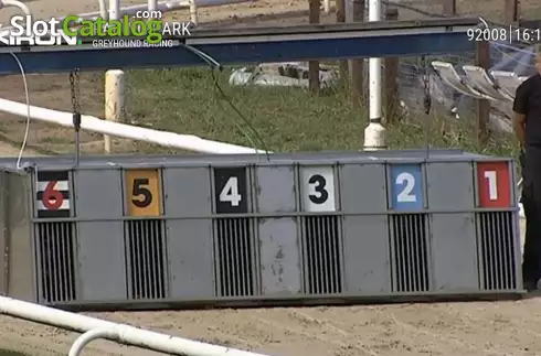 Скрин4. Pre-recorded Dog Racing слот