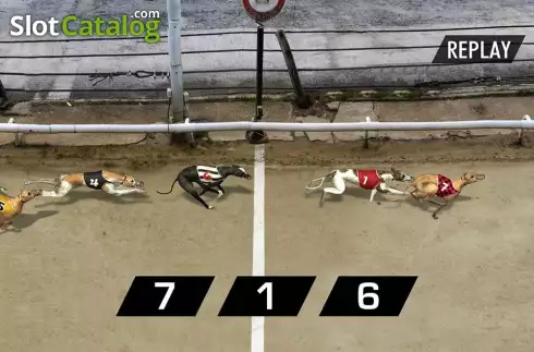 Скрин5. Pre-recorded Dog Racing слот