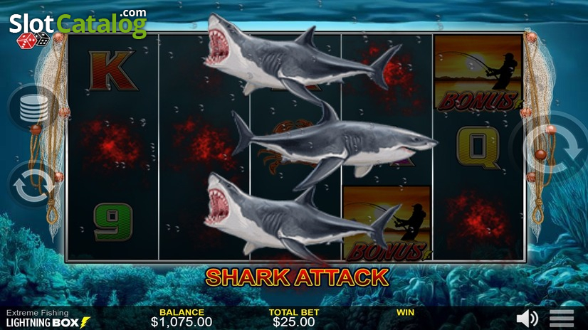 Shark Attack