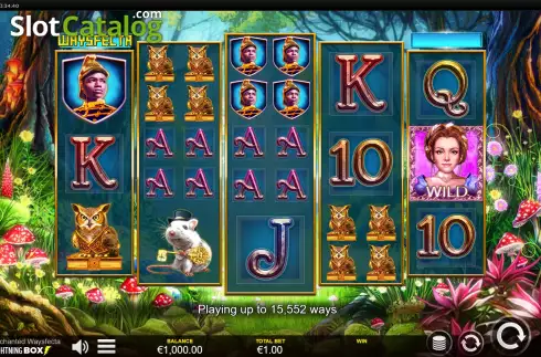 Скрин2. Enchanted Waysfecta слот