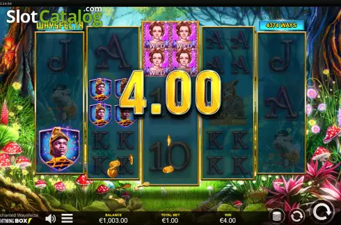 Скрин3. Enchanted Waysfecta слот