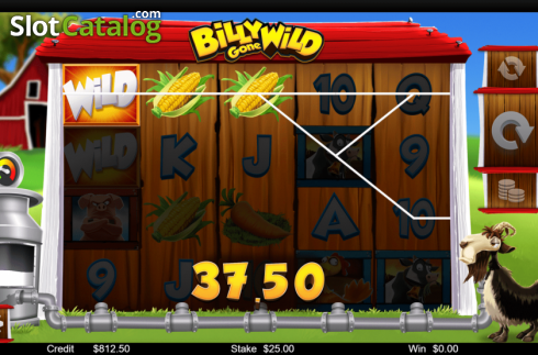 Скрин4. Billy Gone WIld слот