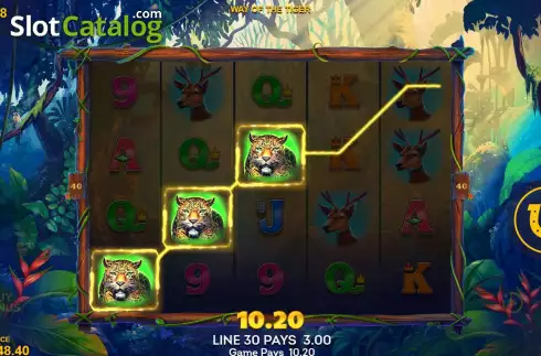 Скрин4. Way of the Tiger (Lucksome) слот