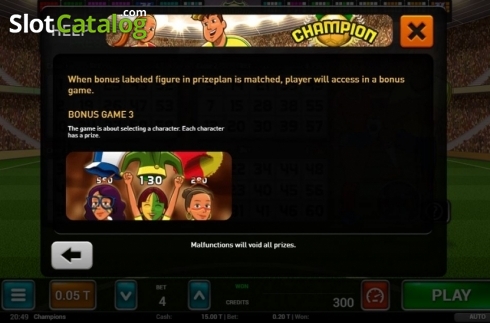 Скрин6. Champion Bingo слот